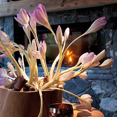 Boutique-hotel Chez Jan * Monthey